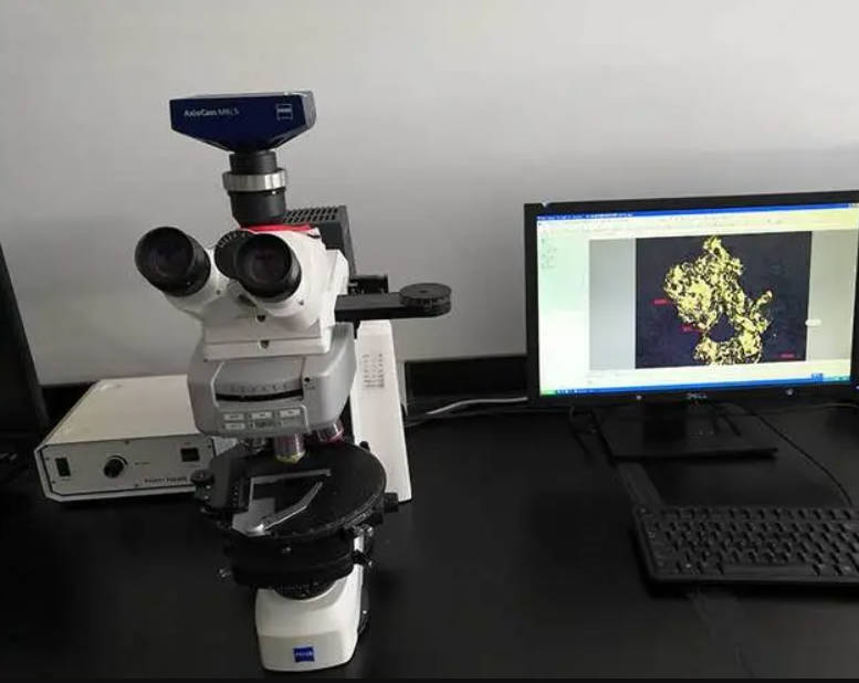 高德注册偏光显微镜在医学领域很广泛